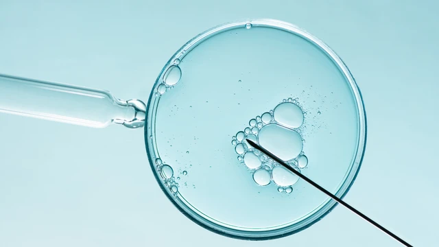 chu_ky_ivf_mat_bao_lau_hanh_trinh_cho_doi_va_nhung_moc_thoi_gian_can_biet_3_8b5c203906