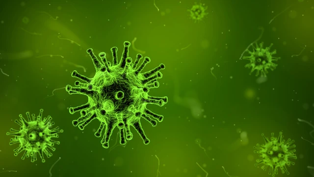Chu trình nhân lên của virus: Hiểu rõ để phòng bệnh chủ động
