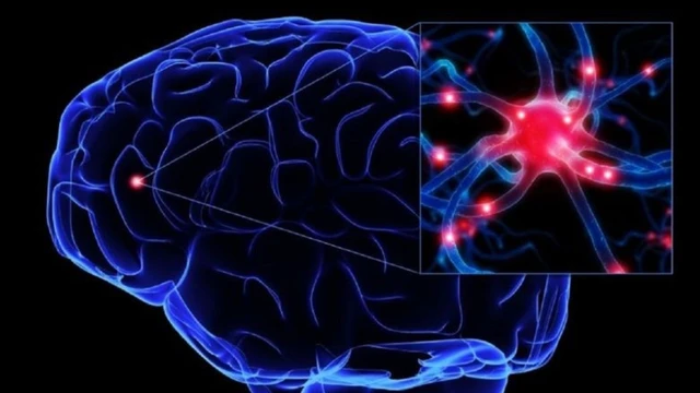 Chữa rối loạn thần kinh thực vật như thế nào hiệu quả?