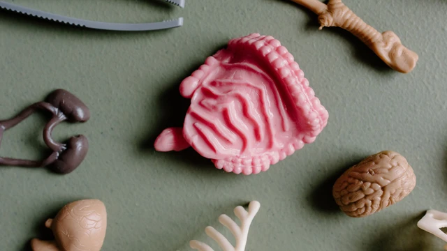 Đa polyp đại tràng là gì? Những vấn đề cần biết về đa polyp đại tràng