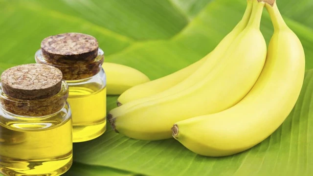 Dầu chuối: Công dụng, cách dùng và những lưu ý an toàn