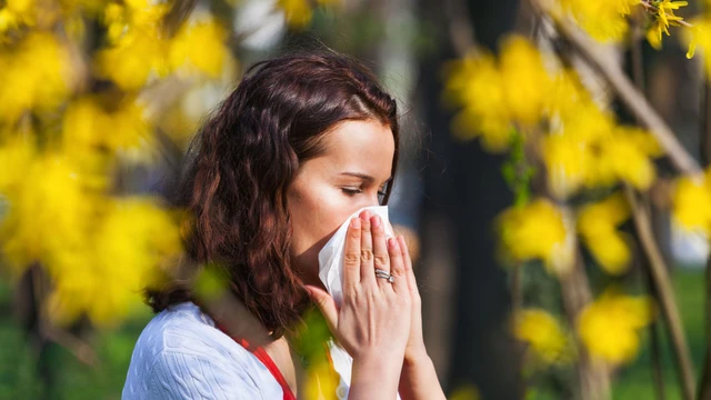 Dị ứng phấn hoa là gì? Cách nhận diện và xử trí
