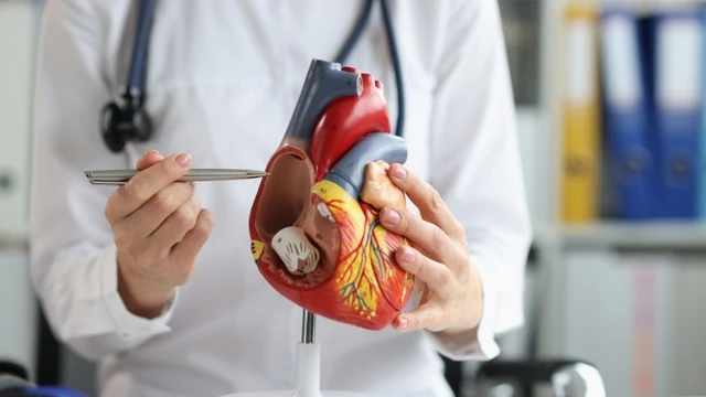 Hướng dẫn đọc kết quả siêu âm tim cơ bản dễ hiểu