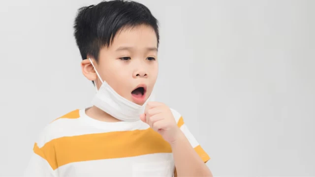 Ho gà ở trẻ 3 tuổi: Triệu chứng, nguyên nhân và biện pháp phòng ngừa