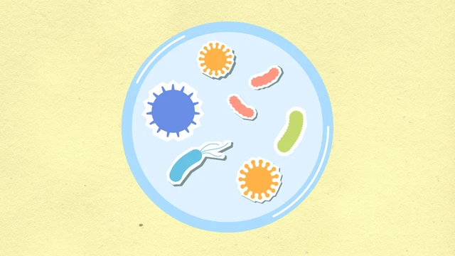 Nhiều vật dụng quen thuộc ở khu vui chơi có thể tiềm ẩn virus, vi khuẩn