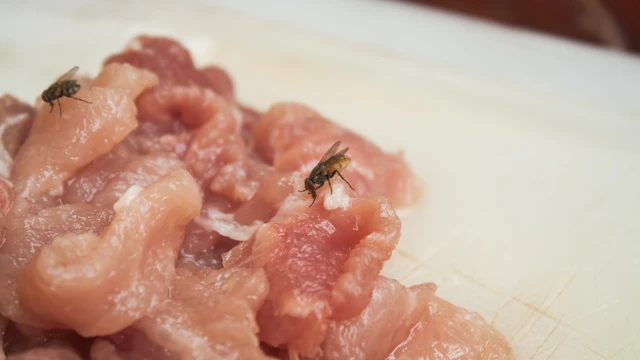 Hơn 130 tấn thịt lợn nhiễm dịch tả châu Phi tuồn vào sản xuất pate, đồ hộp