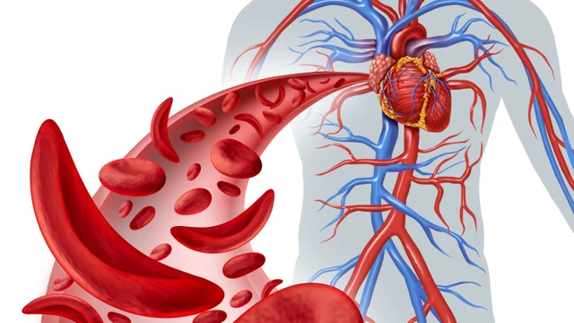 Hồng cầu lưới là gì? Ý nghĩa quan trọng trong đánh giá sức khỏe máu