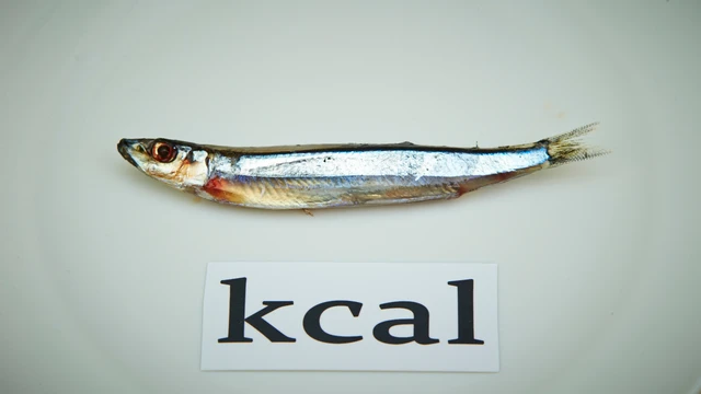 Kcal là gì? Cách tính và vai trò của kcal đối với sức khỏe