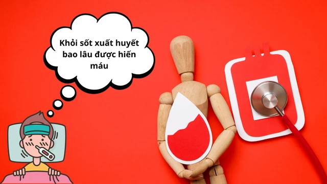 Khỏi sốt xuất huyết bao lâu thì được hiến máu? Điều kiện và lưu ý cần biết