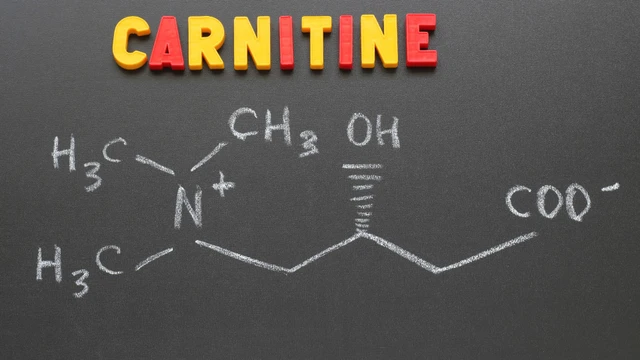 L-Carnitine là gì? Cơ chế hoạt động và lợi ích đối với sức khỏe