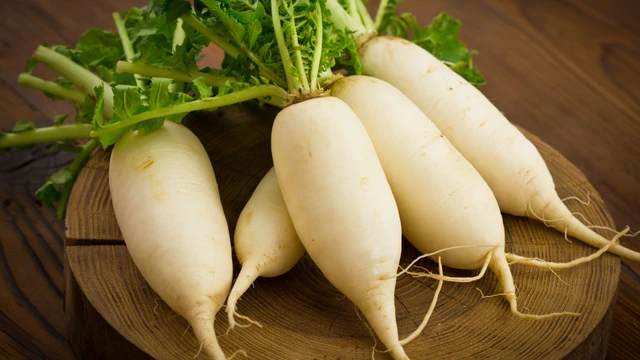 Một số phương pháp sử dụng củ cải trắng trị ho có đờm