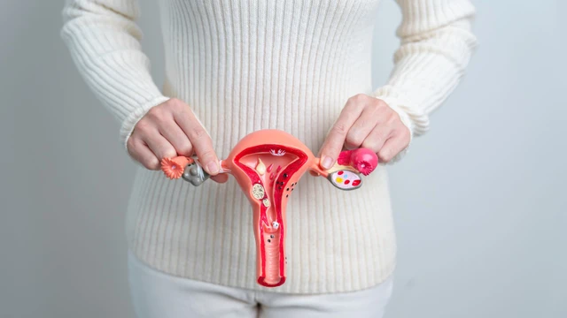 Nhân xơ tử cung loại 5 là gì? Dấu hiệu nhận biết và mức độ nguy hiểm