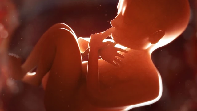 Một số dấu hiệu thai 5 tuần không phát triển mà mẹ bầu cần lưu ý