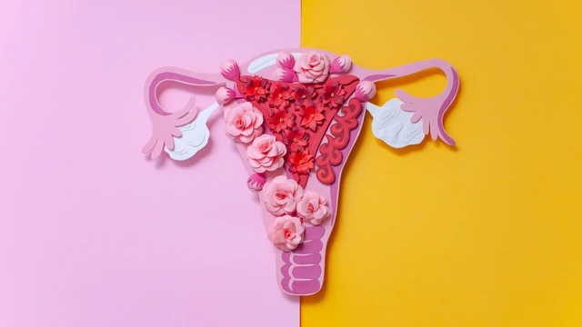 Những thông tin quan trọng về niêm mạc tử cung chị em cần biết