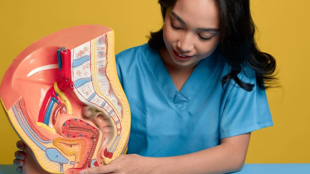 Nổi mụn ở môi bé vùng kín: Nguyên nhân, dấu hiệu và cách điều trị