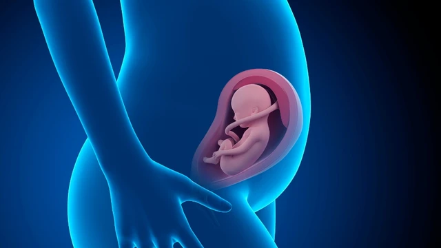 Nước ối trung bình bao nhiêu là bình thường? Mốc an toàn mẹ bầu cần biết
