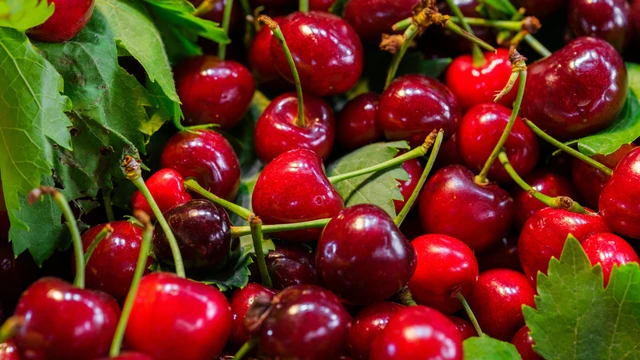 Nuốt hạt cherry có sao không? Hiểu rõ nguy cơ ngộ độc tiềm ẩn