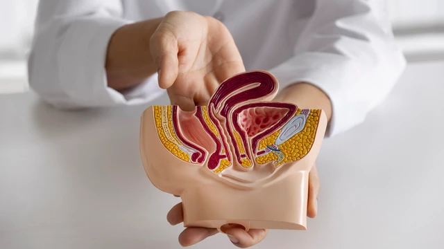 Ống niệu rốn là gì? Dấu hiệu bất thường và cách xử trí an toàn