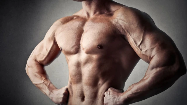 Protein thực vật có tăng cơ không? Làm thế nào để tăng cơ với protein thực vật?