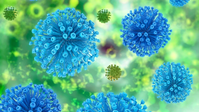 Retrovirus là gì? Đặc điểm, cơ chế hoạt động và các bệnh do retrovirus gây ra