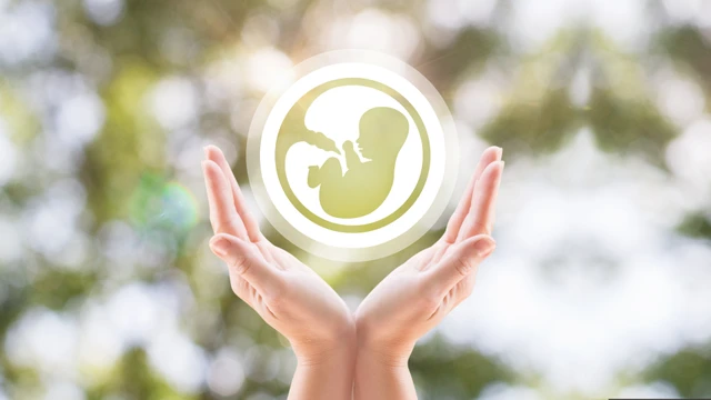 Sau chuyển phôi 14 ngày siêu âm được chưa? Một số lưu ý mẹ bầu cần biết