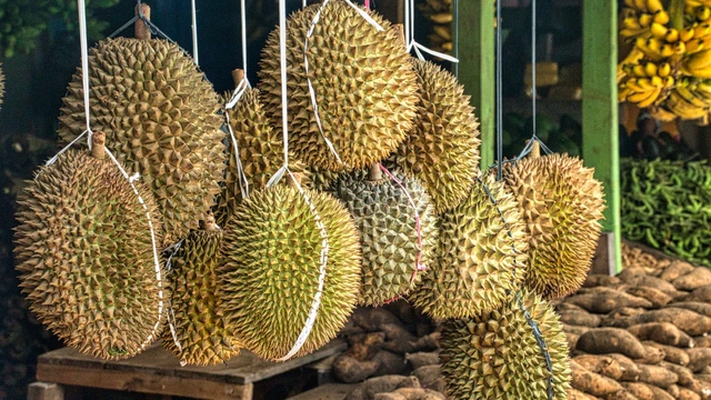 Sầu riêng nhiễm cadimi: Nguyên nhân, mức độ nguy hiểm