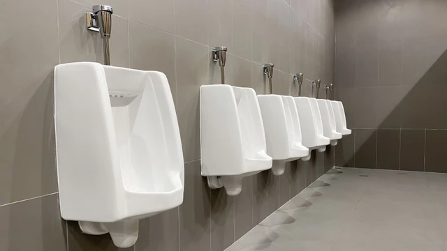 Sỏi thận là gì? Những vấn đề cần biết về sỏi thận