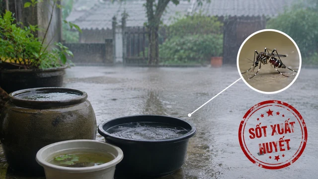 Sốt xuất huyết tăng mạnh mùa mưa