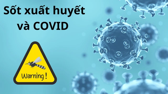 Sốt xuất huyết và COVID: Cách phân biệt và phòng ngừa hiệu quả
