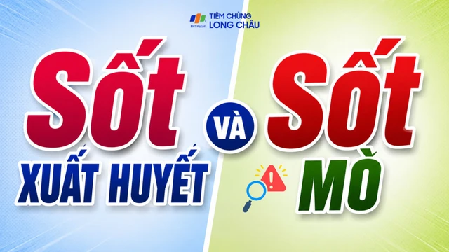 Sốt xuất huyết và sốt mò: Điểm khác biệt và cách phòng ngừa hiệu quả