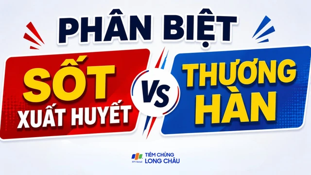 Sốt xuất huyết và thương hàn: Cách phân biệt và biện pháp phòng ngừa hiệu quả