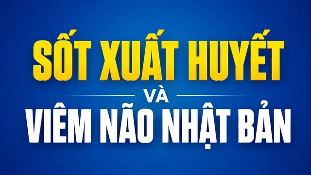 Sốt xuất huyết và viêm não Nhật Bản: Cách phân biệt và biện pháp phòng ngừa 
