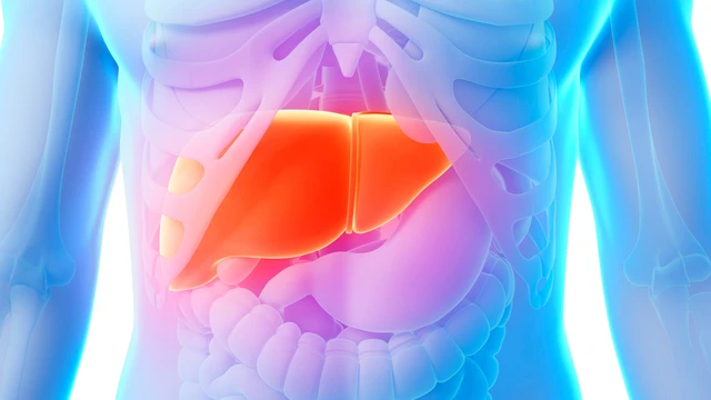 Suy gan có chữa được không? Những nguyên nhân chính gây suy gan