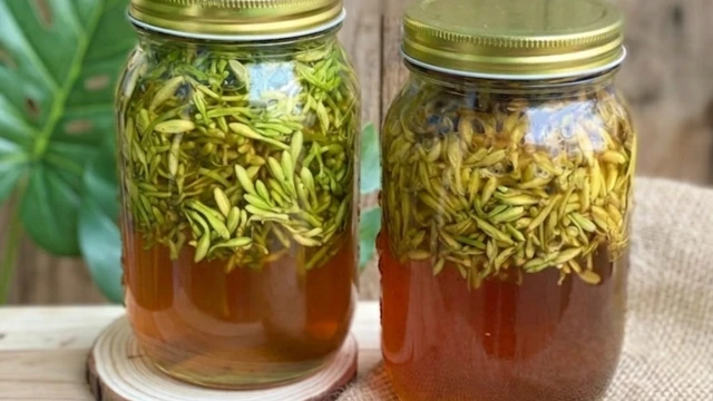 Tác dụng của hoa đu đủ đực ngâm mật ong đối với cơ thể