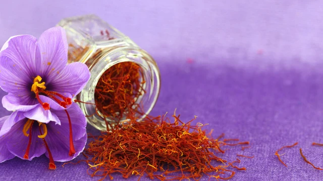 Tác hại của nhụy hoa nghệ tây khi dùng quá liều và những lưu ý khi sử dụng