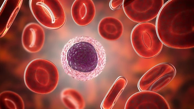 Tế bào T hỗ trợ (T CD4+): Vai trò và cơ chế hoạt động
