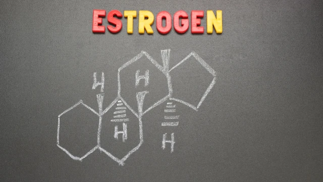 Thừa estrogen là gì? Dấu hiệu, nguyên nhân và cách khắc phục