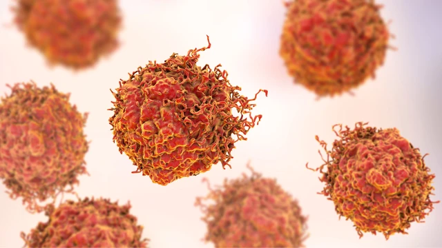 HPV 31 là gì? Có nguy hiểm không?