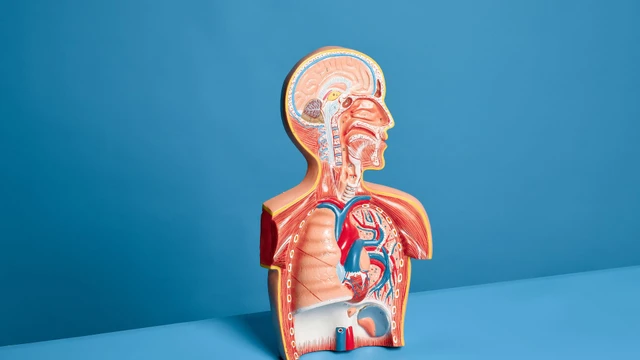 Tràn mủ màng phổi là gì? Những vấn đề cần biết về tràn mủ màng phổi