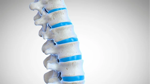Tủy sống có chức năng gì và các bệnh liên quan cần biết