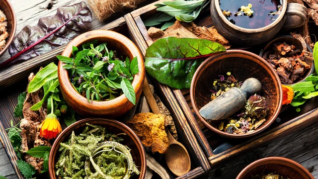 Uống nước lá gì để giảm axit uric? Lưu ý quan trọng khi dùng