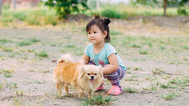vi_sao_tre_em_de_mac_benh_dai_cach_phong_ngua_hieu_qua_1_4dffb9aaba