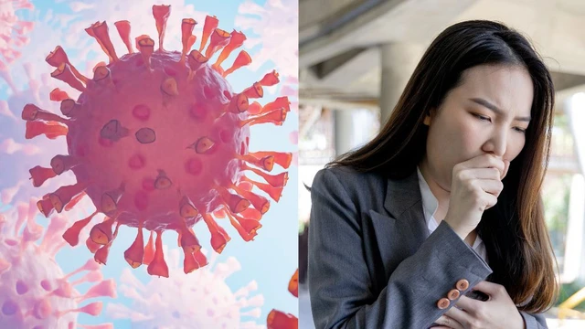 Virus cúm C là gì? Nguyên nhân, triệu chứng và cách phòng ngừa