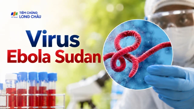 Virus Ebola Sudan là gì? Mức độ nguy hiểm và nguy cơ bùng phát