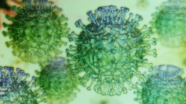 Virus RNA là gì? Đặc điểm và các bệnh do virus RNA gây ra