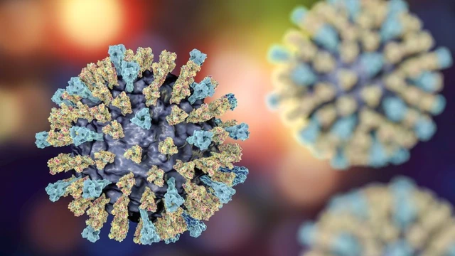 Virus sởi và tất tần tật những thông tin bạn cần biết