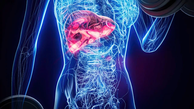 Virus viêm gan E là gì? Đặc điểm, đường lây và cách phòng ngừa