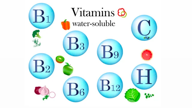 Vitamin tan trong nước gồm những loại nào và lợi ích cho cơ thể