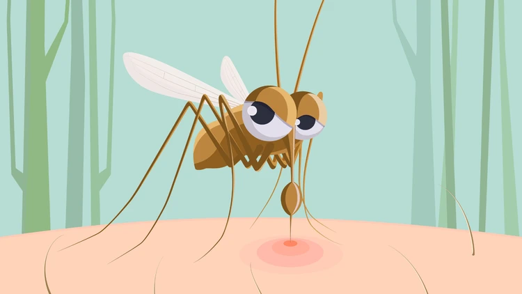 Chikungunya khác sốt xuất huyết ở điểm nào?