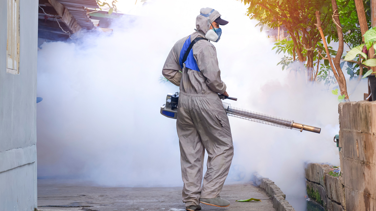 Dịch sốt xuất huyết đang bùng phát: Cập nhật tình hình và cách phòng tránh hiệu quả